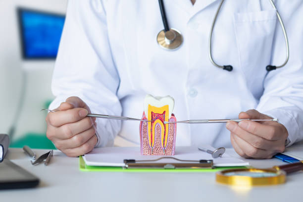 Best Walk-In Emergency Dentist in Long View, NC